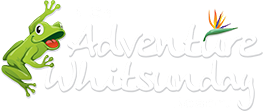 Big 4 Adventure Whitsundays Logo Full White Horz