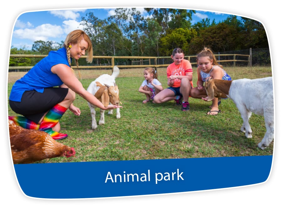 Accommodation With Animal Park Whitsundays