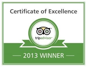 Excellence Badge 2013 En