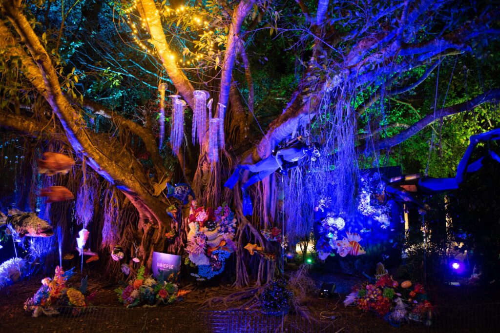 Great Barrier Reef Festival 2025