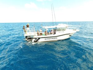 Airlie Beach Fishing Charters Stryker Early Bird