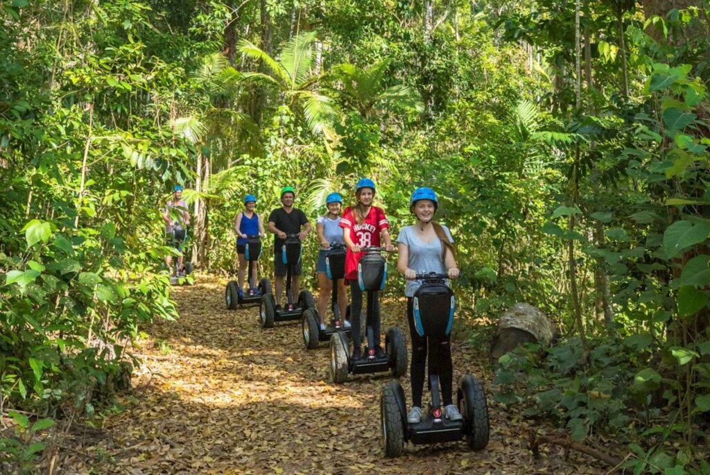 Rainforest Discovery Tour