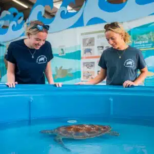 Eco Experience Whitsundays