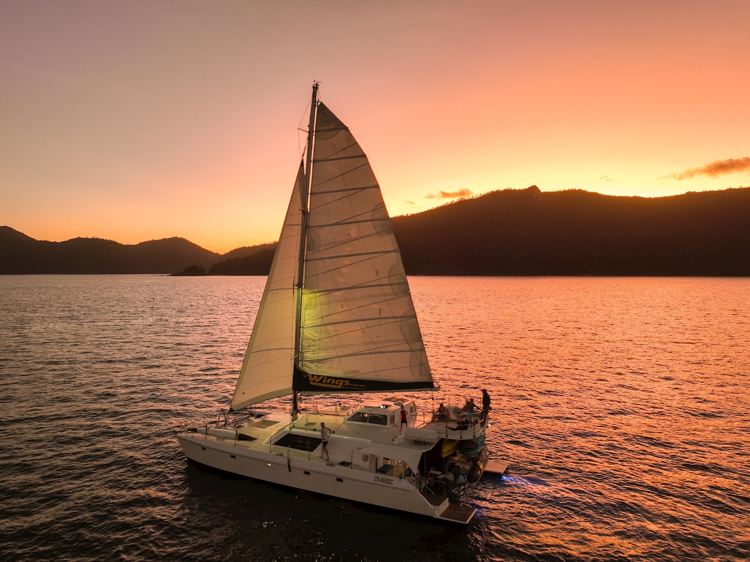 Wings Sunset Sail